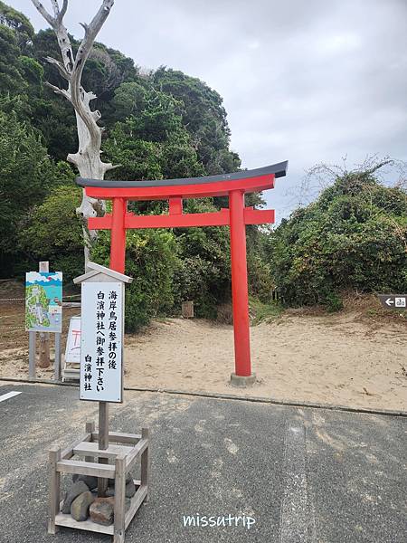 [伊豆景點] 伊豆最古老神社- 海邊鳥居-伊古奈比咩命神社 