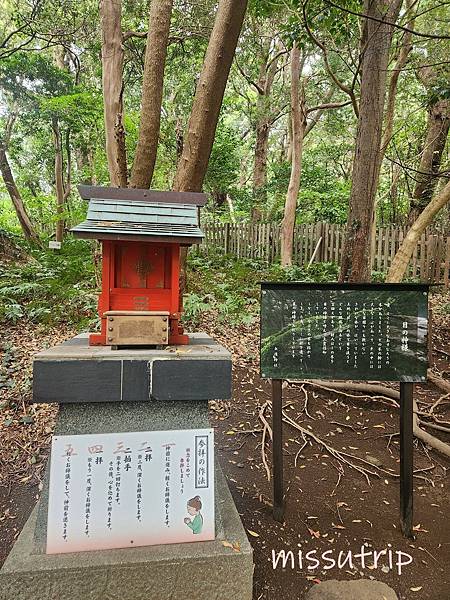[伊豆景點] 伊豆最古老神社- 海邊鳥居-伊古奈比咩命神社 