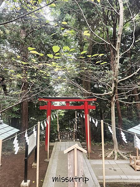 [伊豆景點] 伊豆最古老神社- 海邊鳥居-伊古奈比咩命神社 