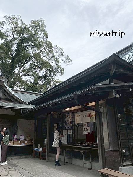 [伊豆景點] 伊豆最古老神社- 海邊鳥居-伊古奈比咩命神社 