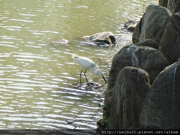 碧湖公園