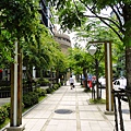 DSC05876.JPG