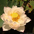 DSC06882.JPG