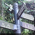 DSC07270.JPG