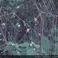 DSC07280.JPG