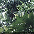 DSC07284.JPG