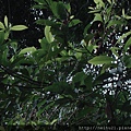 DSC07286.JPG