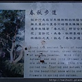 DSC07291.JPG
