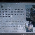 DSC07294.JPG