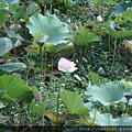 DSC07301.JPG