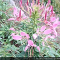 DSC07303.JPG