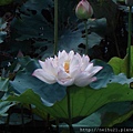 DSC07305.JPG