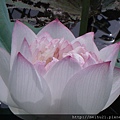 DSC07314.JPG