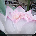 DSC07313.JPG