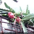 DSC07318.JPG