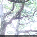 DSC07322.JPG