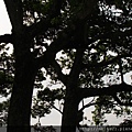 DSC07325.JPG