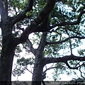 DSC07324.JPG
