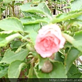 DSC07347.JPG