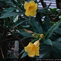 DSC07351.JPG