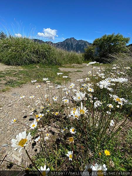 LINE_ALBUM_1120707合歡山福壽山_230716_9.jpg