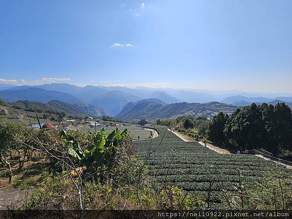 頂湖鳳姐新厝 2024-01-27~28