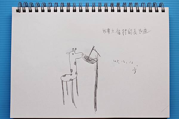 ()20161216_長頸鹿.JPG