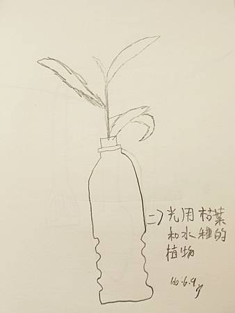 (119)20170609_光用枯葉和水種的植物.JPG