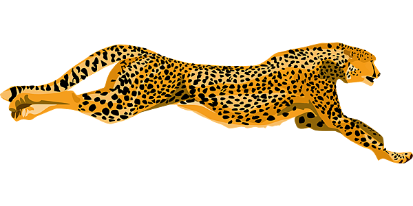 cheetah-40986_1280.png