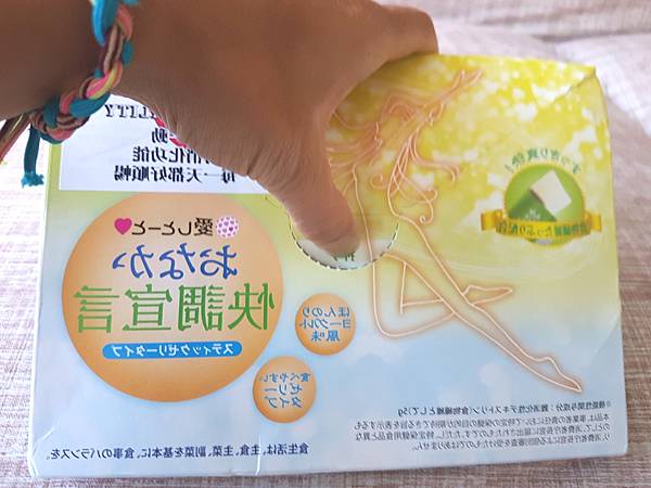 試用