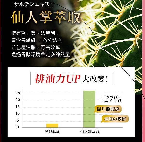 LIGHT2.jpg 試用
