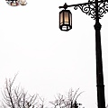 RIMG0040.jpg