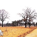 RIMG0017.jpg