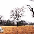 RIMG0016.jpg