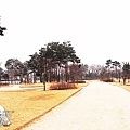 RIMG0008.jpg