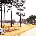 RIMG0006.jpg