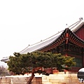 RIMG9981.jpg