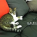 R0012485.JPG