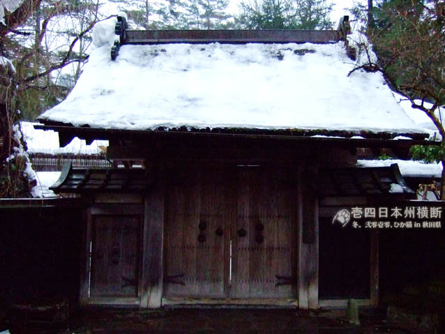 DSCF5565.jpg DSCF5565.jpg