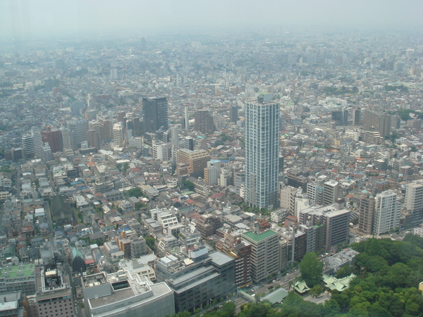 東京市景.JPG