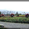 池上鄉花海祭