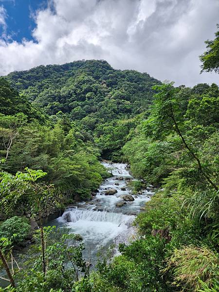 步道剛開始遠眺小溪.jpg