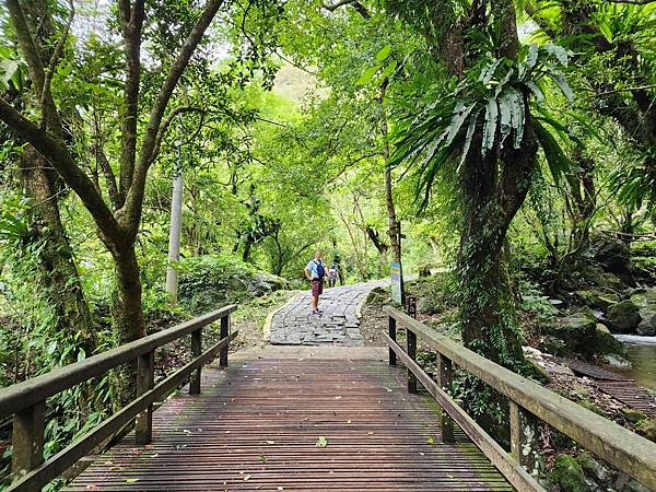 岔路前小橋.jpg