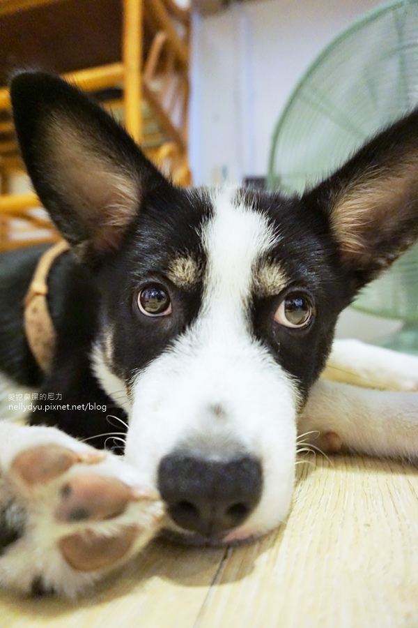 3080s 鹽埕住宿30.JPG 3080s 鹽埕住宿30.JPG