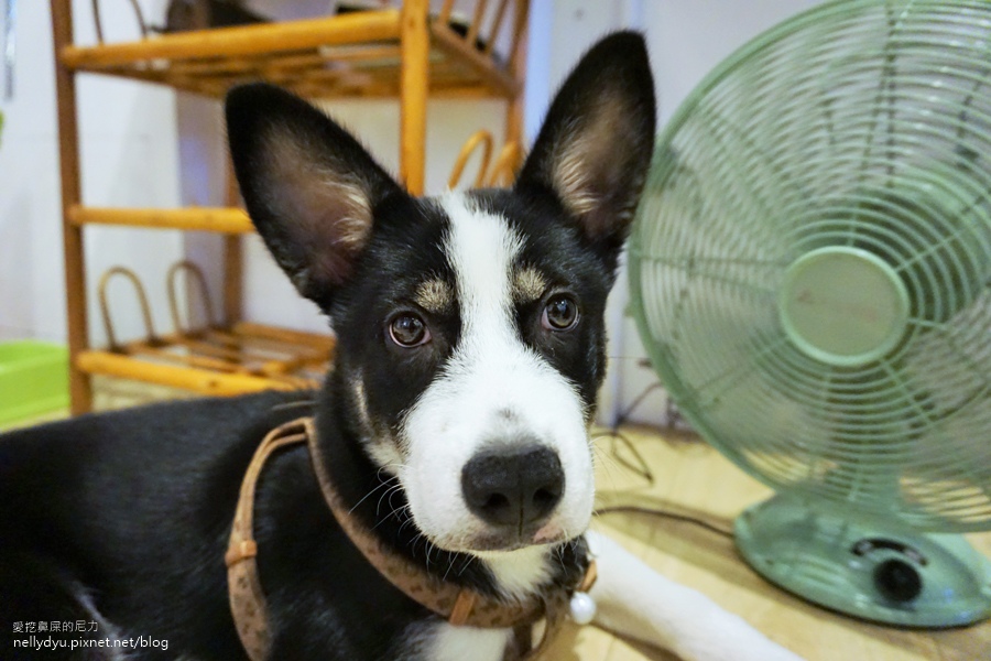 3080s  鹽埕住宿31.JPG