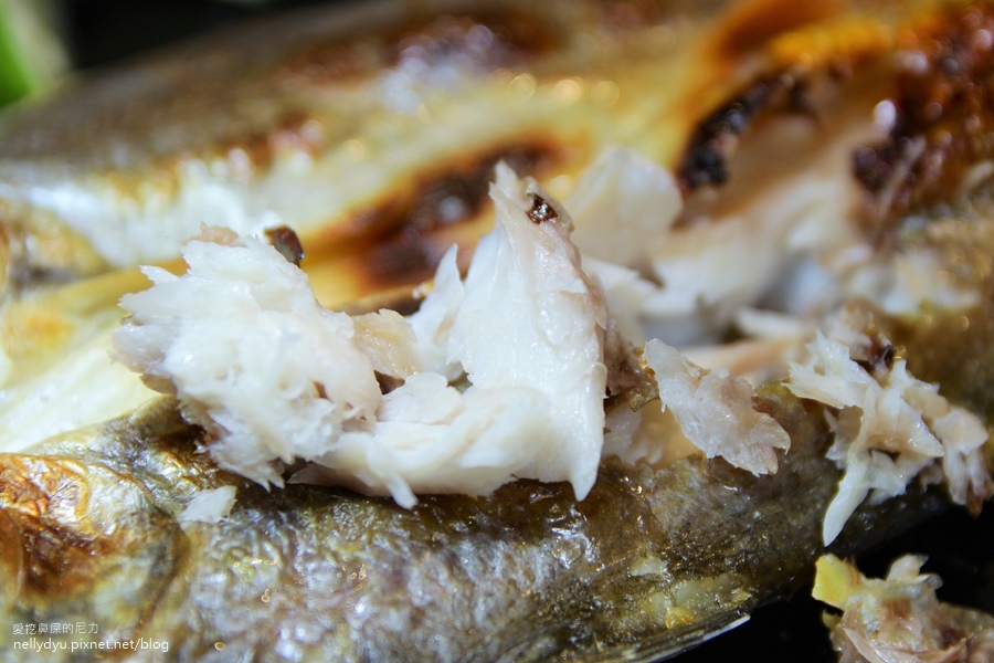 酌 居酒屋50.JPG 酌 居酒屋50.JPG