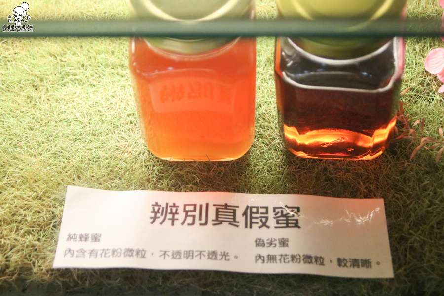 高鐵 雲林 旅遊 高鐵假期 (43 - 64).jpg 高鐵 雲林 旅遊 高鐵假期 (43 - 64).jpg