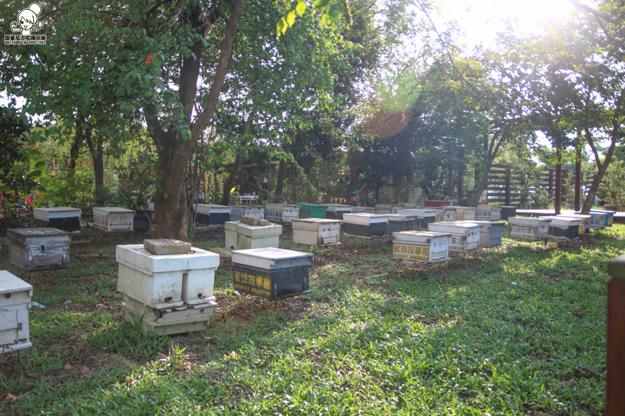 高鐵 雲林 旅遊 高鐵假期 (45 - 64).jpg