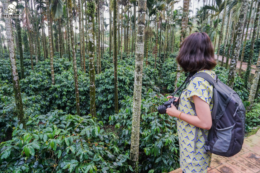 高鐵 雲林 旅遊 高鐵假期 (64 - 64).jpg 高鐵 雲林 旅遊 高鐵假期 (64 - 64).jpg