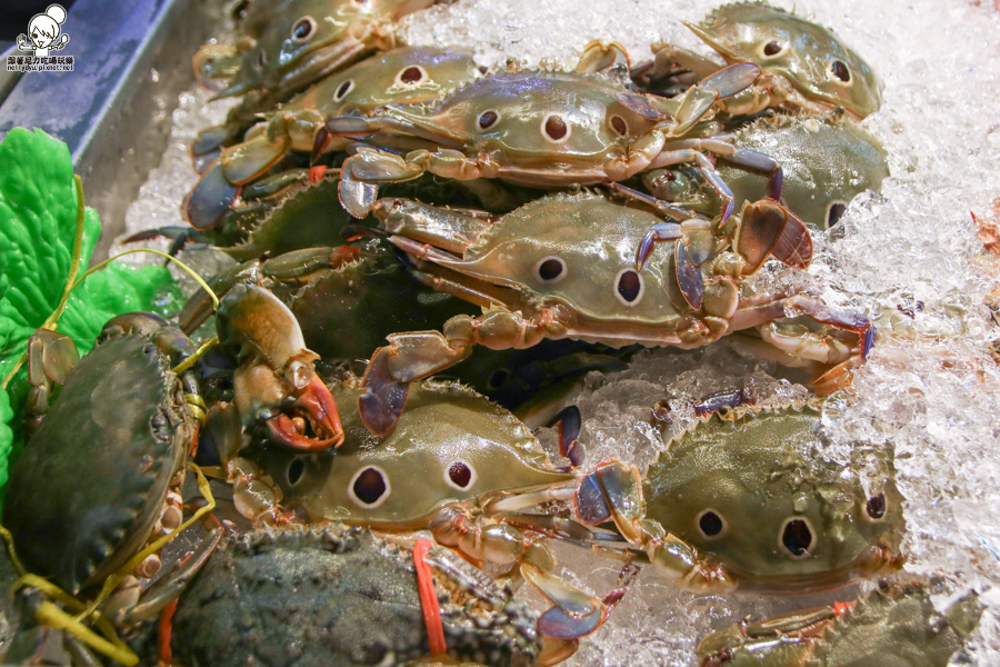 蒸品鮮汕頭沙茶爐 蒸鍋 海鮮 新鮮 高雄美食 (17 - 60).jpg